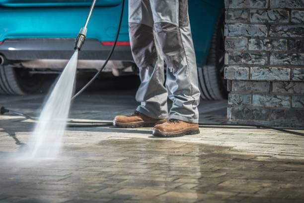 Best Restaurant Pressure Washing  in Freeport, TX